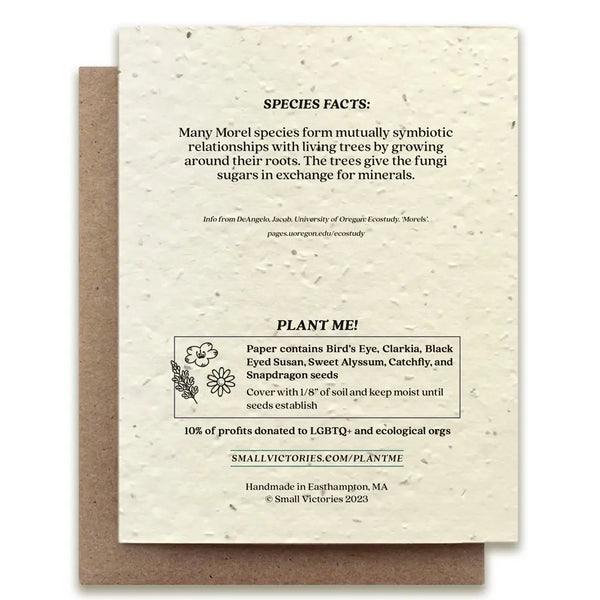 Morel Mushroom Card