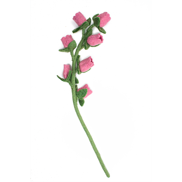 Bellflowers