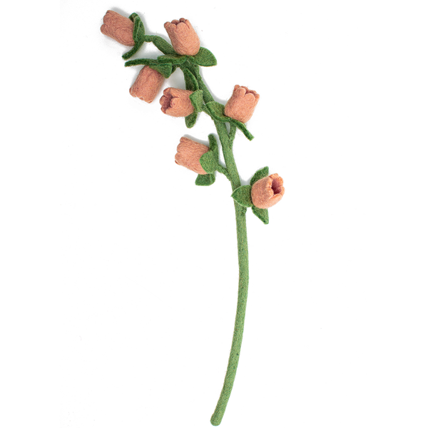 Bellflowers