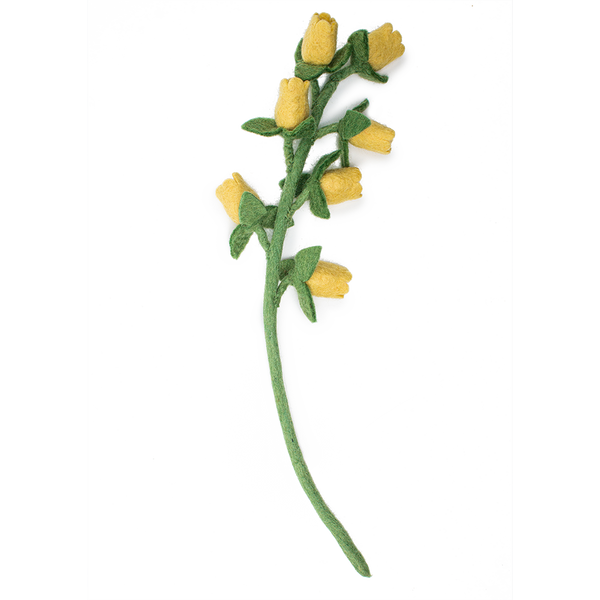 Bellflowers