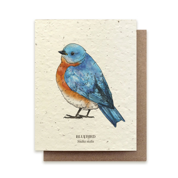 Bluebird Greeting Card