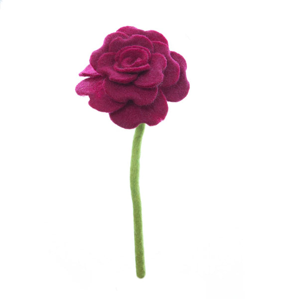 Blooming Rose Flowers