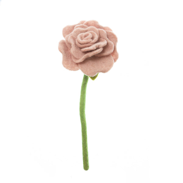 Blooming Rose Flowers