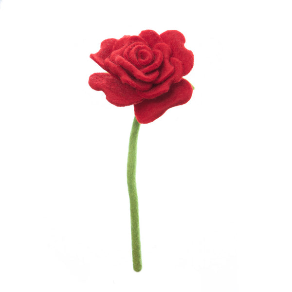 Blooming Rose Flowers