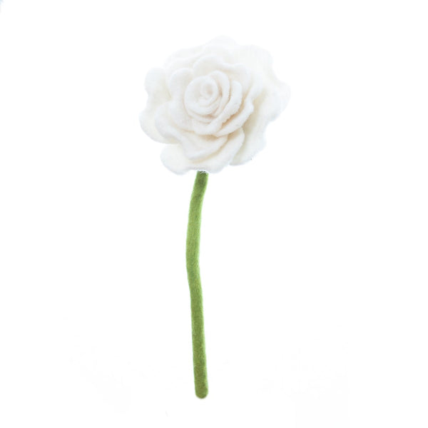 Blooming Rose Flowers
