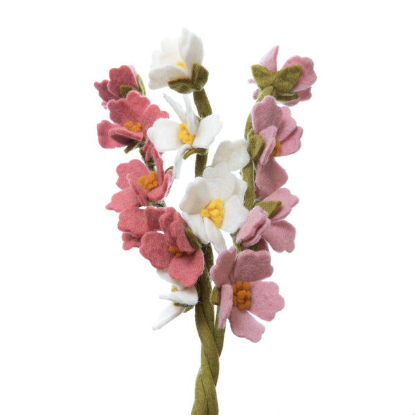 Cherry Blossom Flowers
