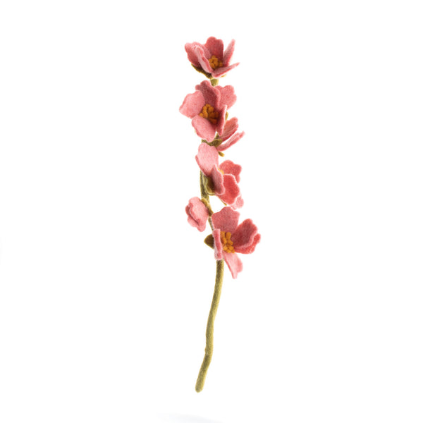 Cherry Blossom Flowers