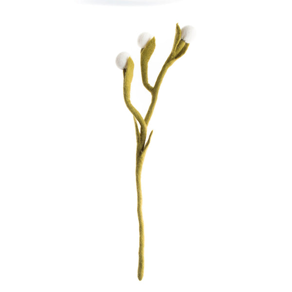 Billy Buttons