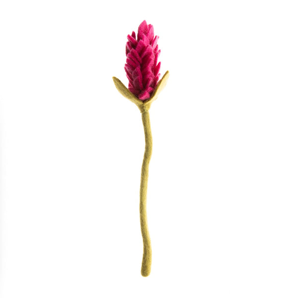 Alpinia Flowers