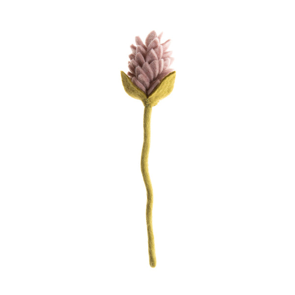 Alpinia Flowers