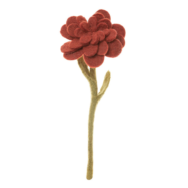 Zinnia Flowers