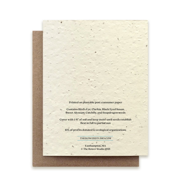 Northern Saw-Whet Owl Greeting Card