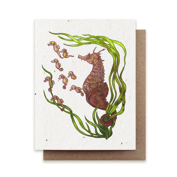 Seahorse Card