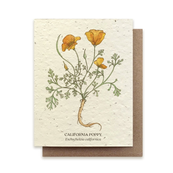 California Poppy Greeting Card