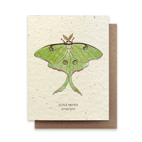 Luna Moth Card
