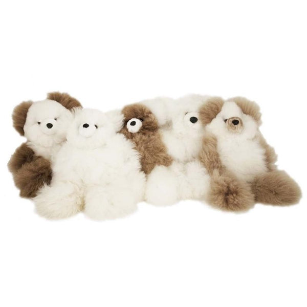 Pocket Teddy Bear