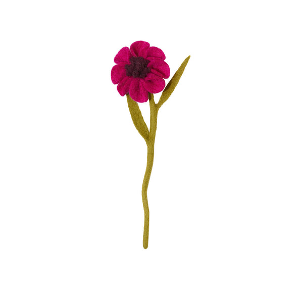 Anemone Flowers