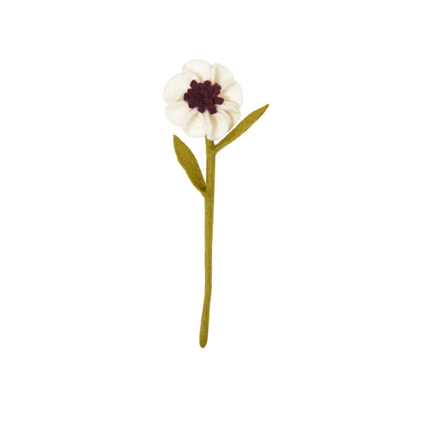 Anemone Flowers