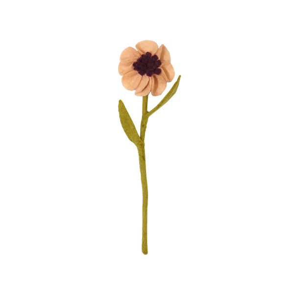 Anemone Flowers