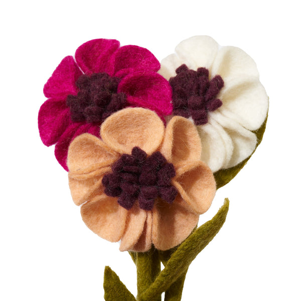 Anemone Flowers