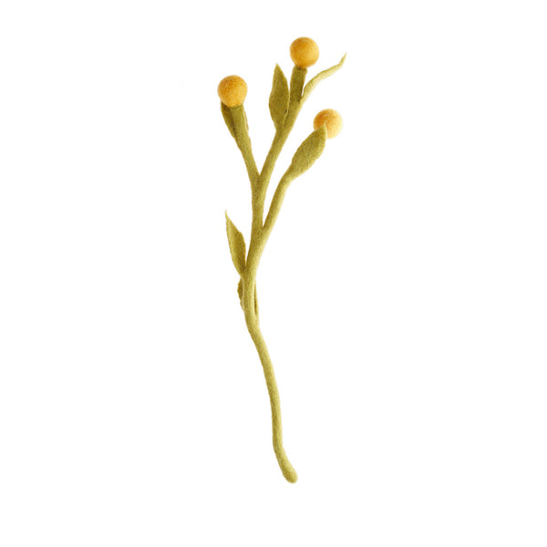 Billy Buttons