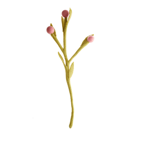 Billy Buttons