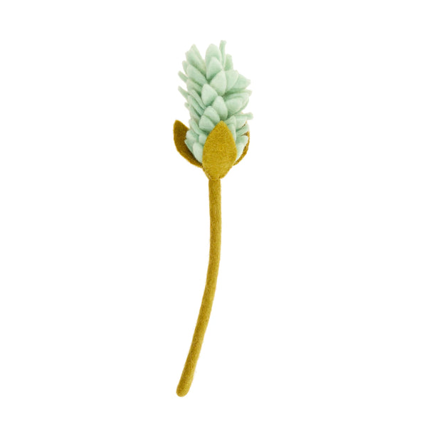 Alpinia Flowers