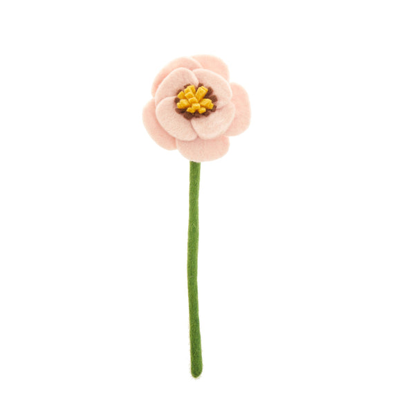 Poppy Flowers