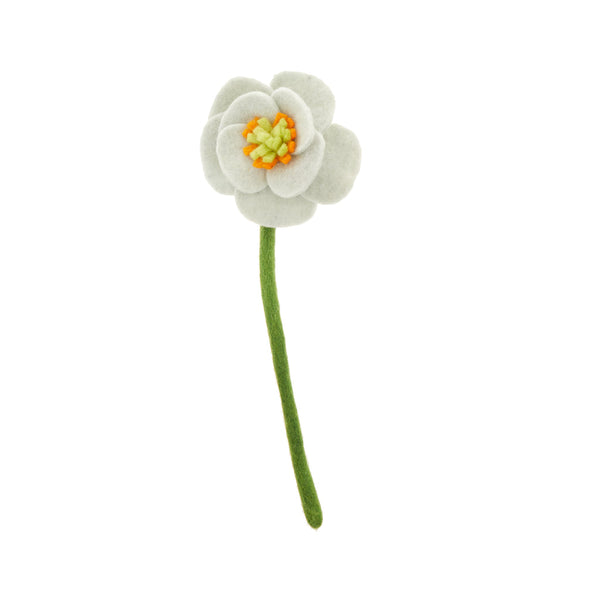 Poppy Flowers
