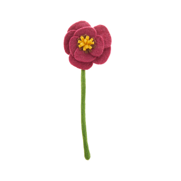 Poppy Flowers