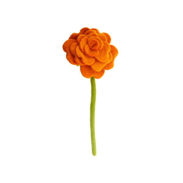 Blooming Rose Flowers