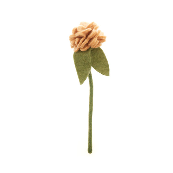 Geranium Flowers