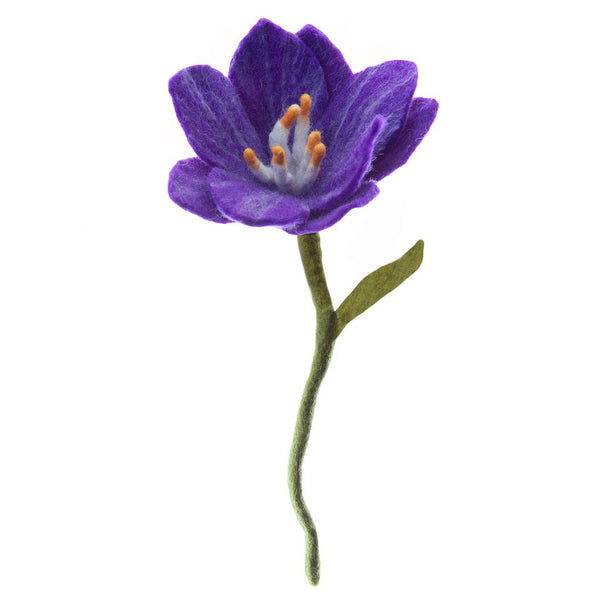 Wildflowers