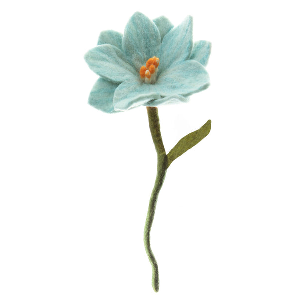 Wildflowers