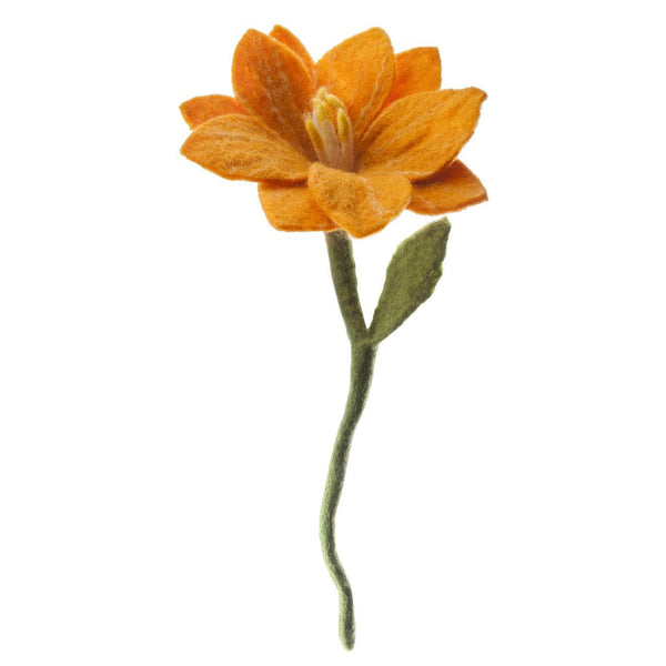 Wildflowers