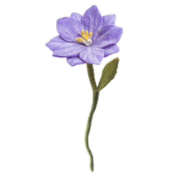 Wildflowers