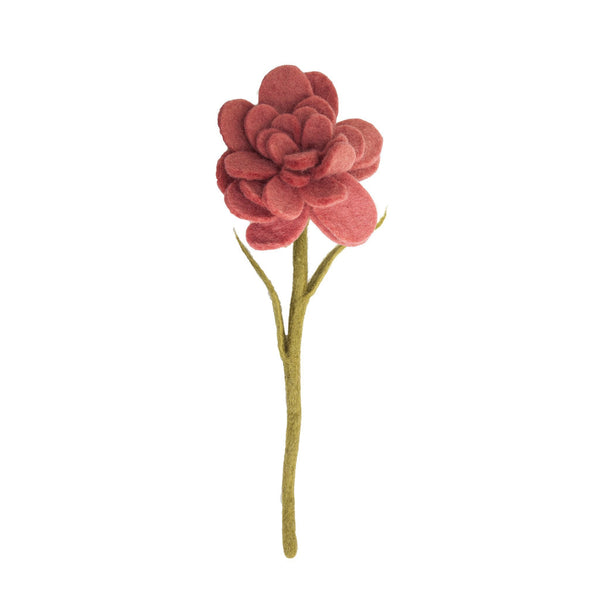Zinnia Flowers
