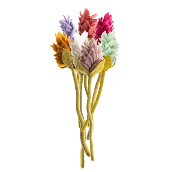 Alpinia Flowers