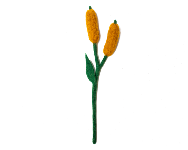 Cattails Flowers