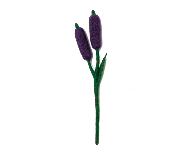 Cattails Flowers