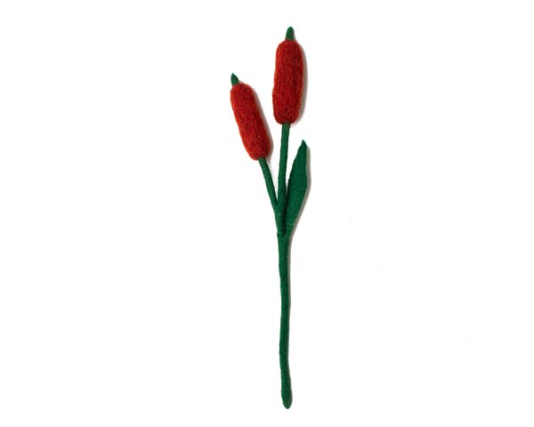 Cattails Flowers