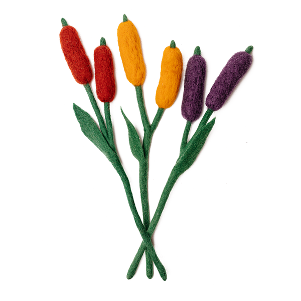 Cattails Flowers