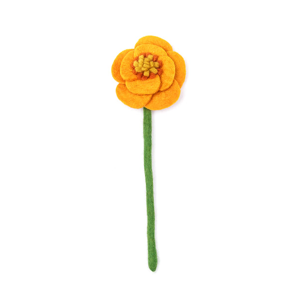 Poppy Flowers