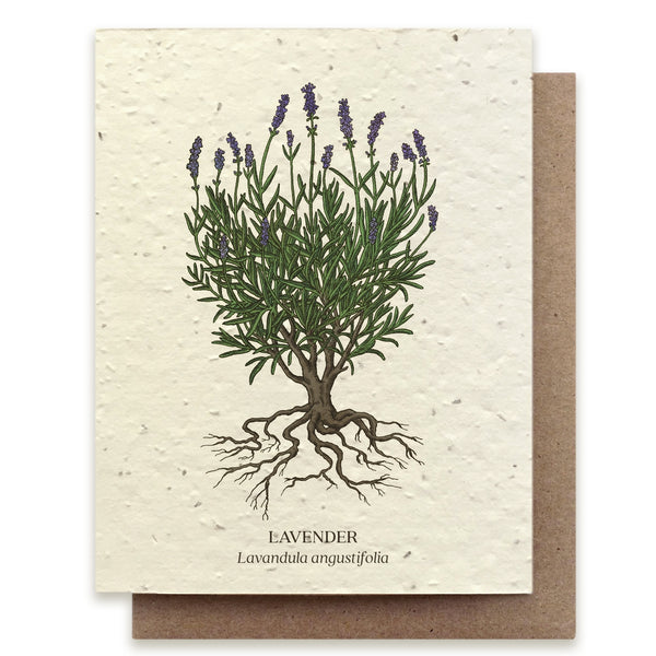 Lavender Botanical Greeting Card