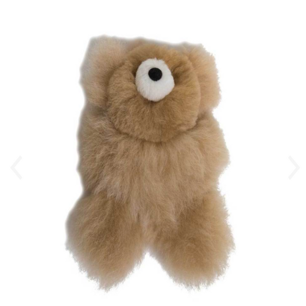 Pocket Teddy Bear