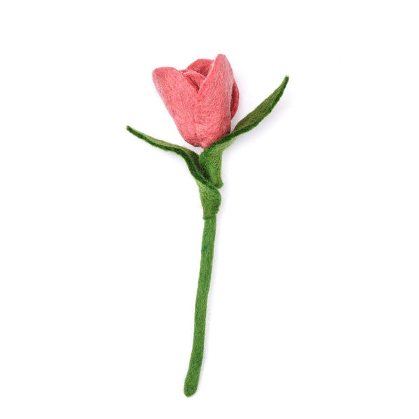 Tulip Flowers