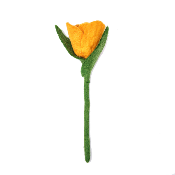 Tulip Flowers