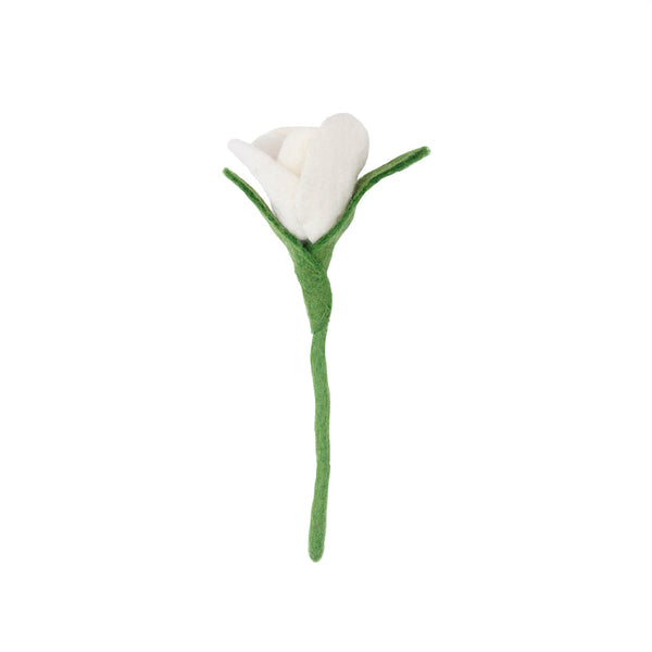 Tulip Flowers