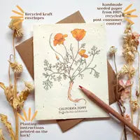 Seahorse Card