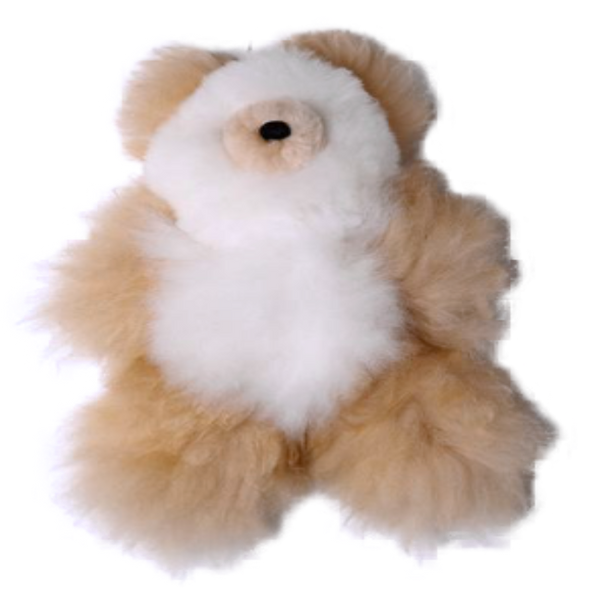 Pocket Teddy Bear